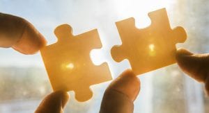 jigsaw pieces