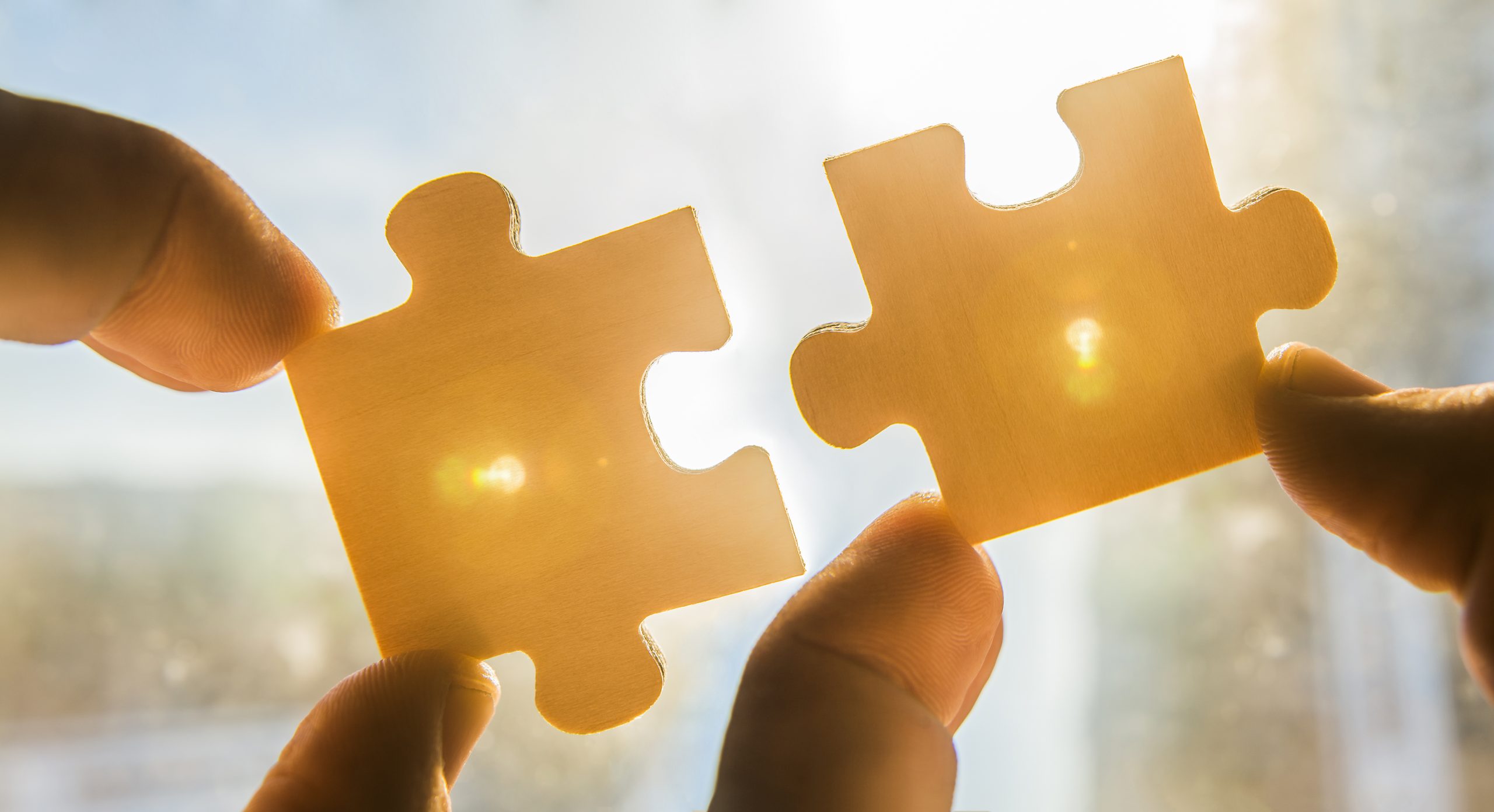 shutterstock_555563581 jigsaw pieces